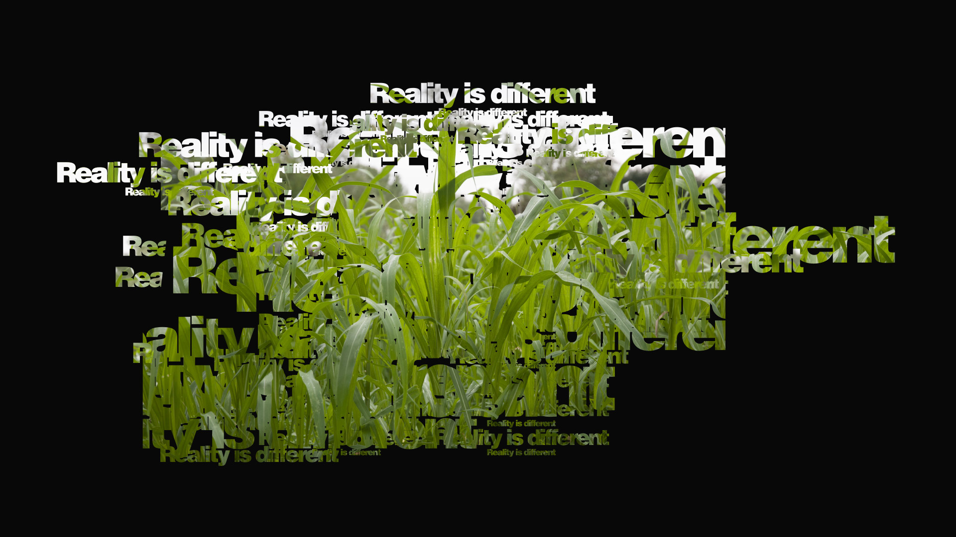 Reality is different